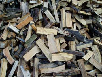 Photo: Firewood