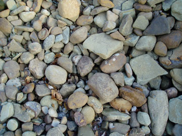 Photo: Fruit Boulders