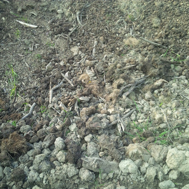 Photo: Fill dirt