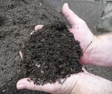 Photo: Garden Bed Soil