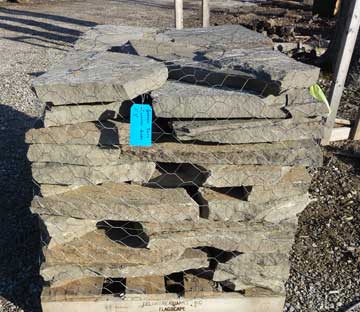 Photo: Garden path stones