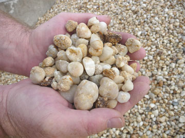 Photo: Lucky Stone