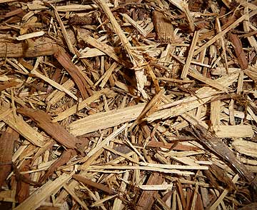 Photo: Cedar Mulch