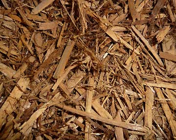 Photo: Cypress Mulch