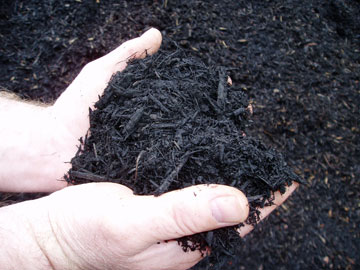 Photo: Timber Ridge Black Wood Mulch
