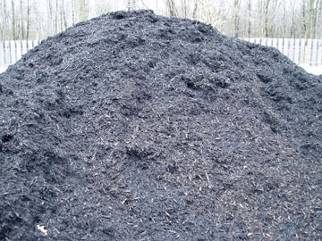 Photo: Timber Ridge Black Wood Mulch Pile